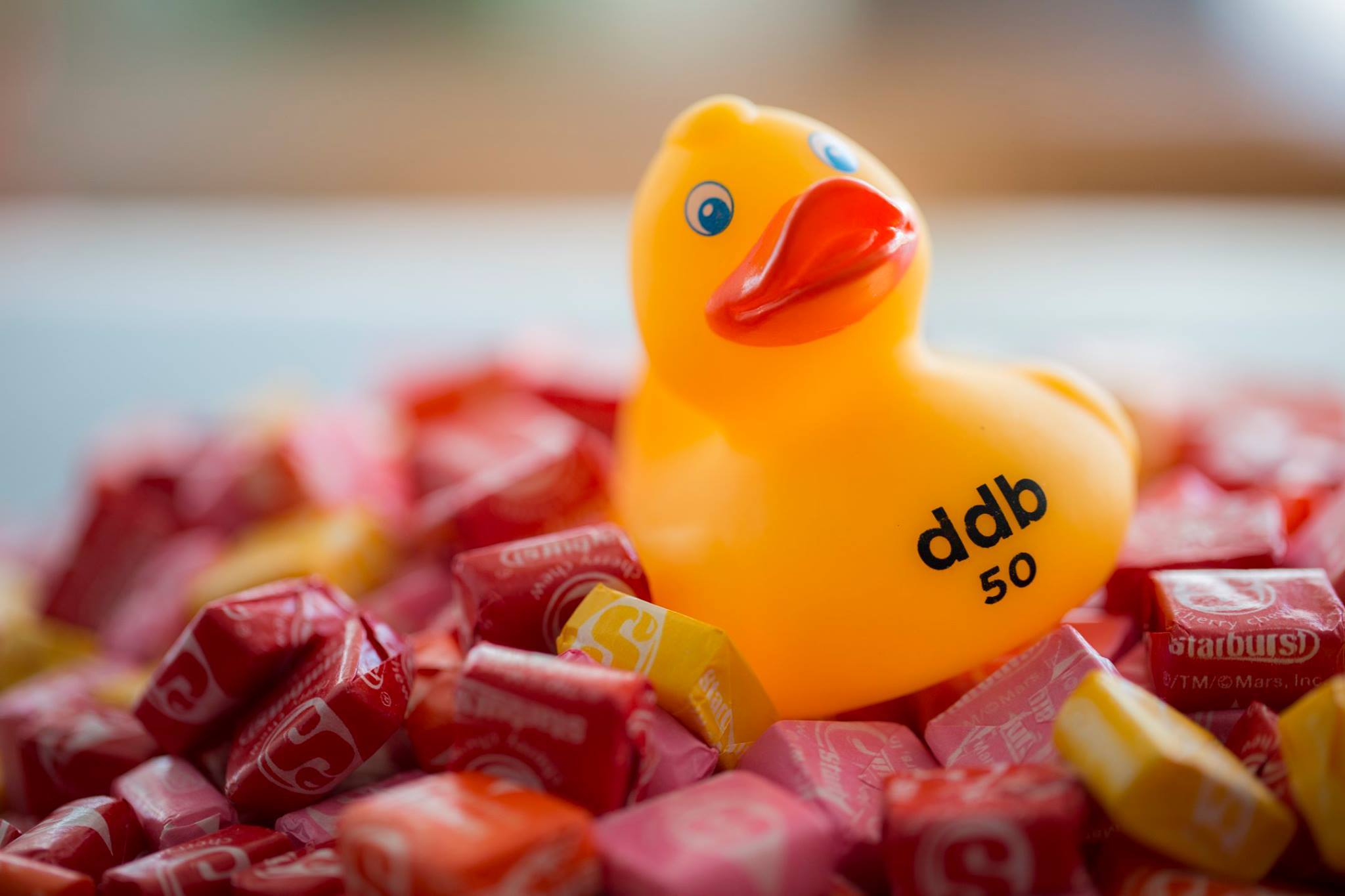 CS50 Duck around the world