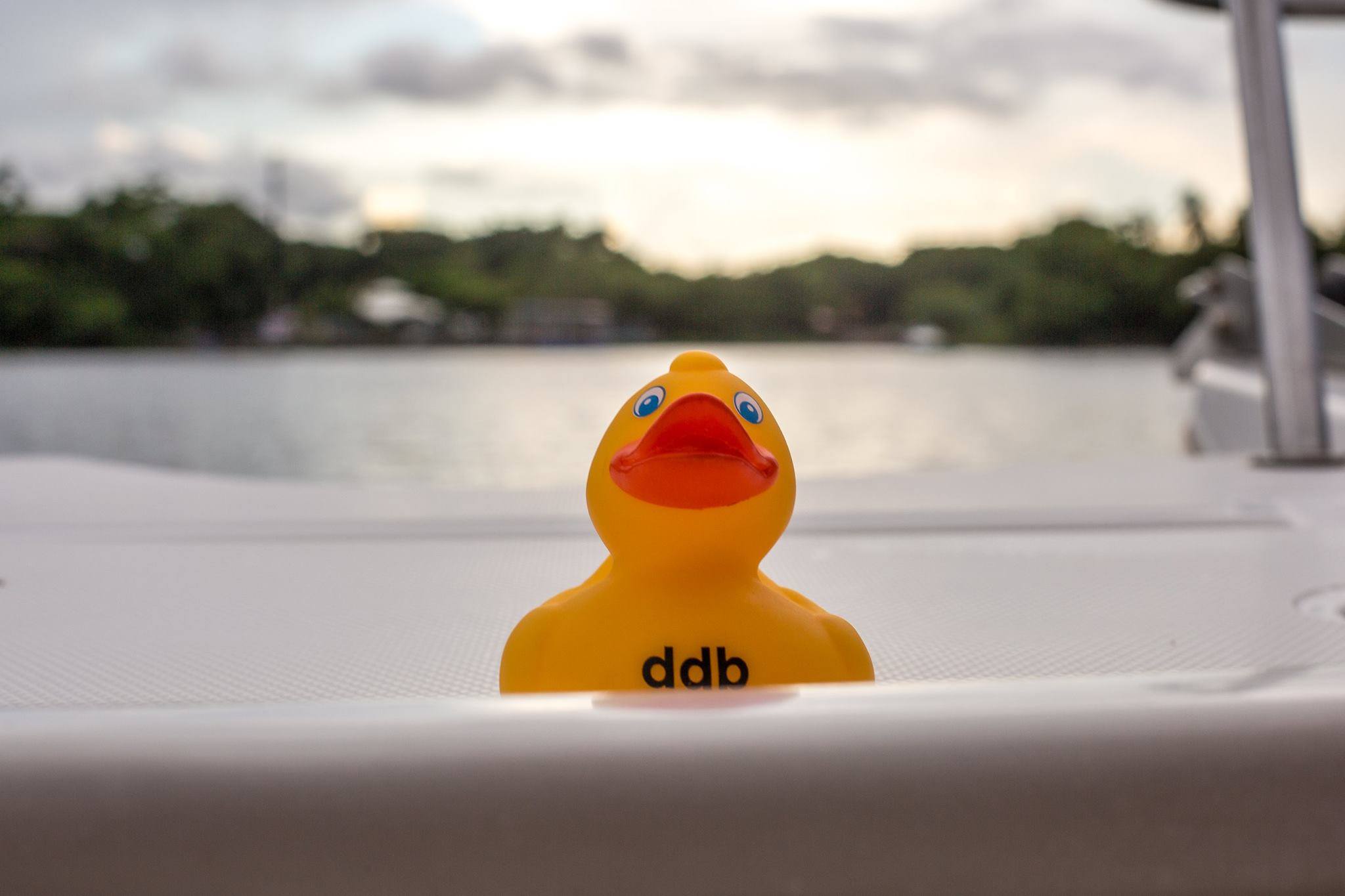 CS50 Duck around the world